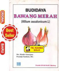 Budidaya Bawang Merah