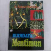 Budidaya Mentimun