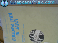 Image of Budidaya Padi di Jawa