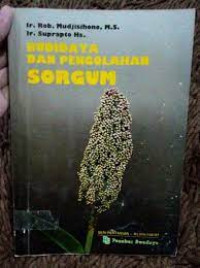 Budidaya dan Pengolahan Sorgum