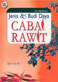 Jenis & Budi Daya Cabai Rawit