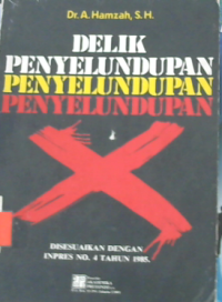 Delik penyelundupan