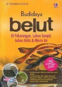 Budidaya Belut di pekarangan , lahan sempit lahan & minim air