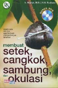 membuat setek cangkok sambungan dan okulasi