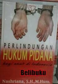 Perlindungan hukum pidana