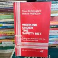 Working under the safety net : policy and practice with the new american por